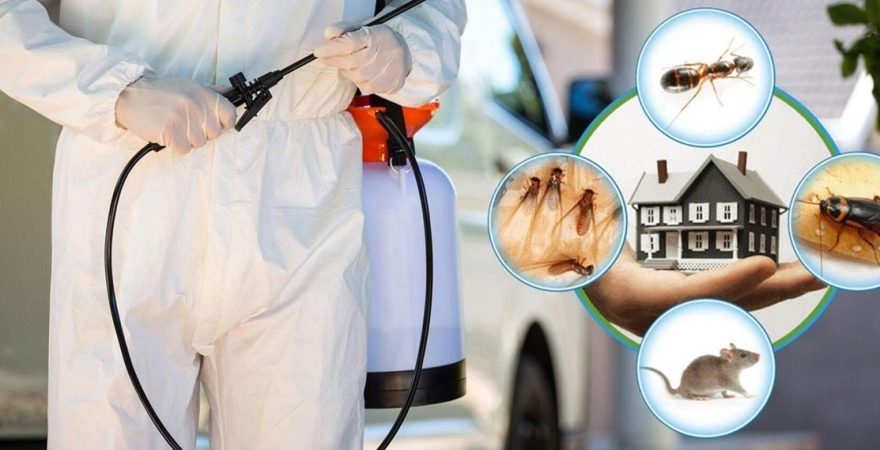 Akhisar Böcek İlaçlama