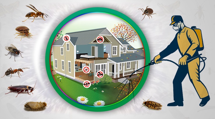 Akhisar Böcek İlaçlama