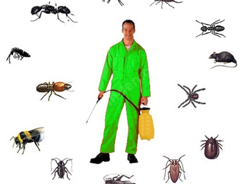 Akhisar Böcek İlaçlama